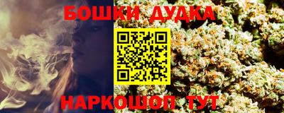 СК Лесосибирск