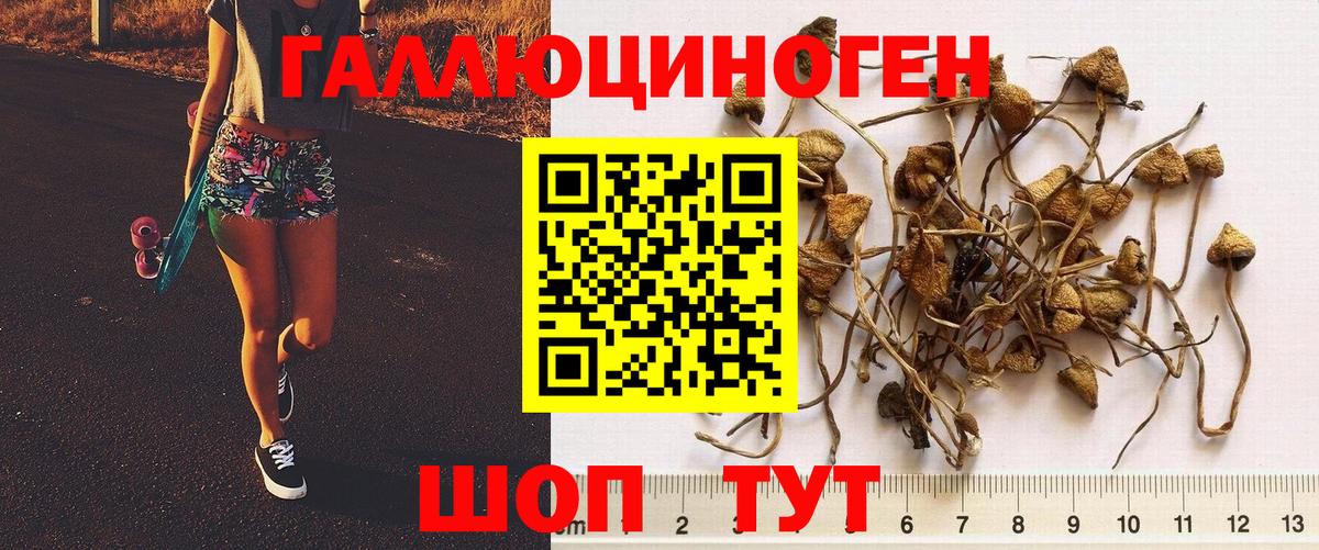 хочу   Псилоцибиновые грибы MAGIC MUSHROOMS  Вход с VPN  Галлюциногенные грибы прущие грибы  Югорск 